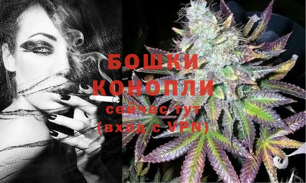 мдма Новозыбков
